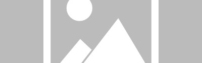 【法甲】朗斯vs蒙彼利埃伤病名单最新(2024年12月08日)