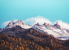 九游体育入口：开启属于你的体育娱乐新纪元